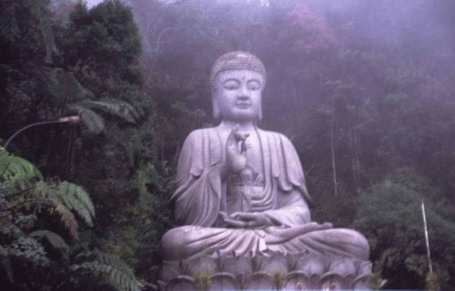 buddha and his dhamma book in marathi pdf